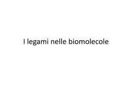 I legami nelle biomolecole