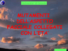 Terzo medio faccia