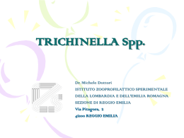 Trichine Dottori Michele