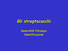 Gli streptococchi
