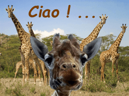 Una giraffa curiosa - Lo scrigno dei tesori