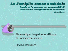 Elementi per la gestione efficace di un`impresa sociale