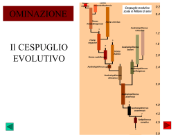 tavole illustrative del corso