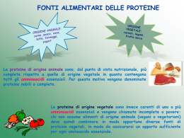 Proteine (Powerpoint)