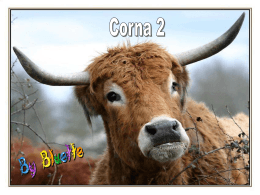 Corna 2 - Altervista