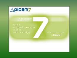Scarica la presentazione di Picam7