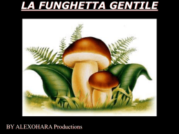 La funghetta gentile - Alex O`Hara Homepage