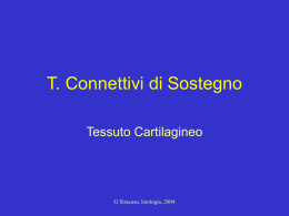 05. T. Cartilagineo Istologia SIRACUSA