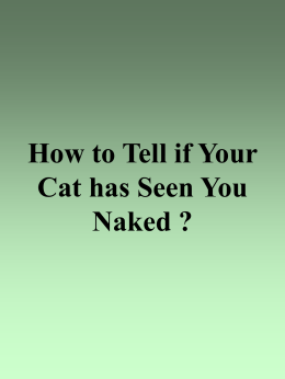 Come fai sapere se un gatto ti ha visto nudo??