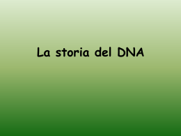 Storia del DNA