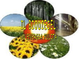 Il Biodiesel: un`energia pulita