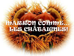 Les marrons glac&eacute;s