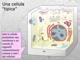 cenni di biologia cellulare