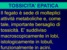 tossicita` epatica