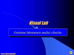 Visual Lab - Explora Consulting