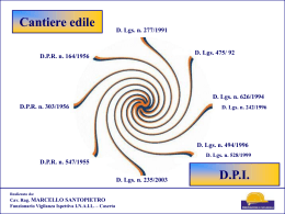 D. Lgs. 494.96