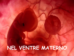embrione - Lo scrigno dei tesori