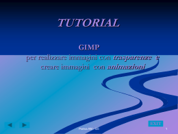 GIMP - Politecnico di Milano
