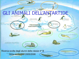 Gli animali dell`Antartide - Direzione Didattica di Ceva