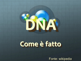 DNA - bacheca 3f
