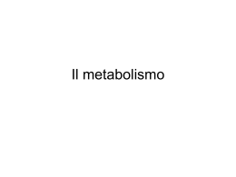 Il metabolismo