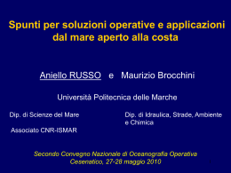 Spunti per soluzioni operative e applicazioni dal mare aperto alla