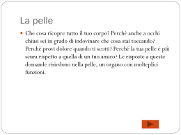 La Pelle (Amato Matteo 3 D)