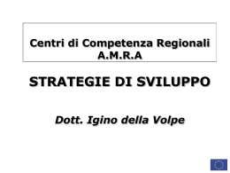 Strategie gestionali e di sviluppo dei Centri Regionali di Competenza