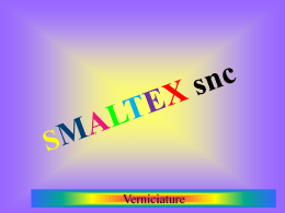 SMALTEX snc