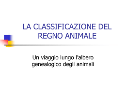 LA CLASSIFICAZIONE DEL REGNO ANIMALE