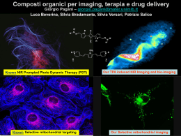 Composti organici per imaging e drug delivery