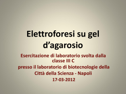 Città della scienza - Napoli (elettroforesi su gel d`agarosio)