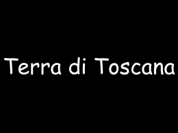 Terra di Toscana - Massolin de Fiori