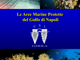 scopri le aree protette della Baia di Napoli