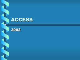 Access 2002 in ppt 331Kb