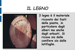 IL LEGNO - classe1Dicsv