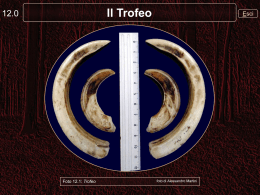Il Trofeo