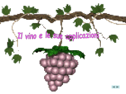 Il vino e le sue Applicazioni
