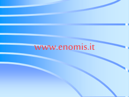 file 030 - Enomis.it