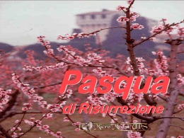 Buona Pasqua pps - Parrocchia Cattedrale Lamezia Terme