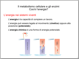 1.metabolismo cellulare ed enzimi ppt