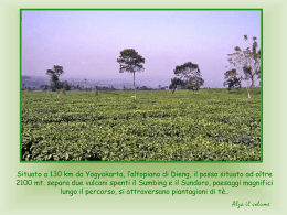 Giava - Da Yogyakarta all`altopiano di Dieng