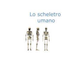 Lo scheletro umano