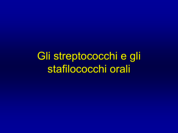 Gli streptococchi orali