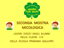 SECONDA MOSTRA MICOLOGICA