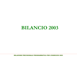 bilancio 2003