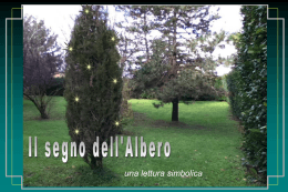 Il segno dell`albero
