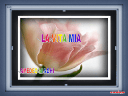 la vita mia amedeo minghi