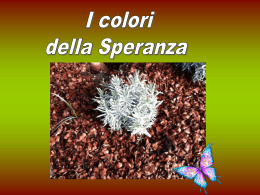 I colori della speranza