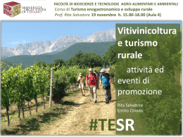 Le strade del vino